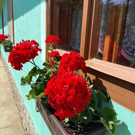 Myslivna Holiday home *